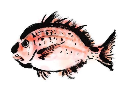 27 Best 生物のイラスト Images Stock Photos Vectors Adobe Stock