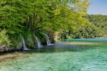 Naklejka premium Kroatien - Plitvicer Seen mit Seen, Wasserfällen und Wald im Sommer