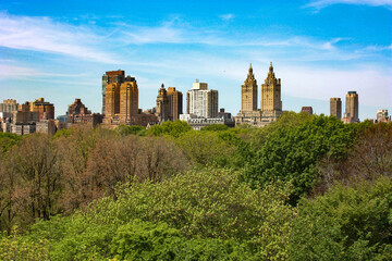 Fototapeta na wymiar New York City / Central Park 