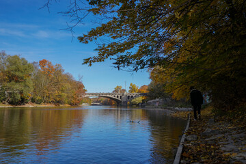 River Isar with colorful trees and leaves in autumn | Munich, Germany