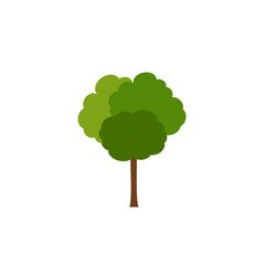 Green tree, A variety of forms on the White Background,Set of various tree sets,Trees for decorating gardens and home designs.vector illustration and icon