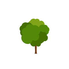 Green tree, A variety of forms on the White Background,Set of various tree sets,Trees for decorating gardens and home designs.vector illustration and icon