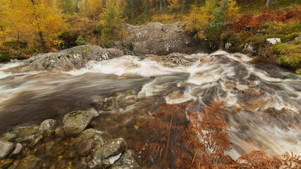  Fall colours of trees and mountain stream.