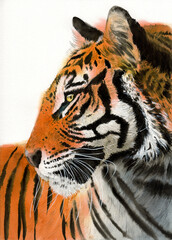 Watercolor illustration of a striped black and red tiger with golden eyes on a white background