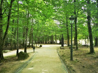 Guernika