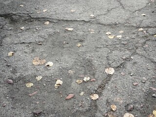 Wet asphalt background. Pattern with wet and dry spots on the road surface. Texture gray old wet road after rain. Yellow leaves on the asphalt