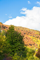 Naklejka premium ニュージーランド オタゴ地方のアロータウンの町から見える山の紅葉