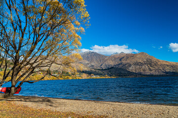ニュージーランド　オタゴ地方のクイーンズタウン近郊の湖、レイク・ヘイズの風景と紅葉