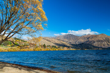 ニュージーランド　オタゴ地方のクイーンズタウン近郊の湖、レイク・ヘイズの風景と紅葉