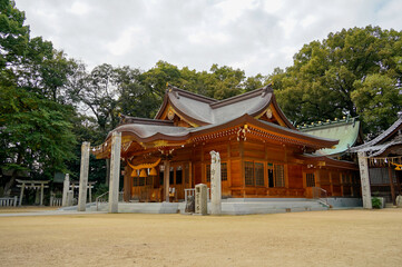 Fototapeta premium 神社