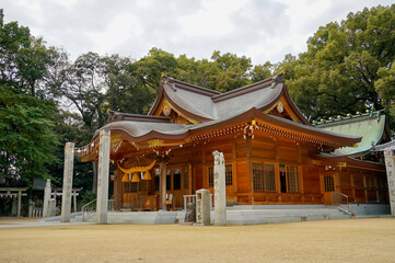 Fototapeta premium 神社