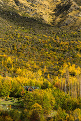 Fototapeta premium ニュージーランド オタゴ地方のクイーンズタウン近郊のアーサーズポイントの風景と紅葉