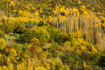 Fototapeta premium ニュージーランド オタゴ地方のクイーンズタウン近郊のアーサーズポイントの風景と紅葉