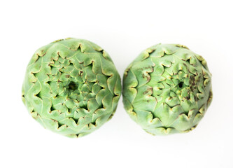 two ripe artichokes on white background