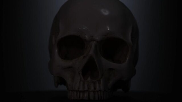 Human skull: Light sweeps past eye sockets in close up.