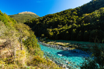 ニュージーランド　オタゴ地方のブループールまでのウォーキングトラックからの風景と青く澄んだマカロア川