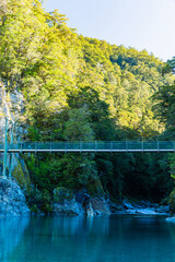 ニュージーランド　オタゴ地方のブループールの青く澄んだブルー川の上にかかる吊橋と風景