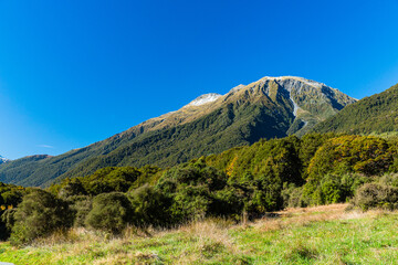 ニュージーランド　オタゴ地方のブループールまでのウォーキングトラックの風景