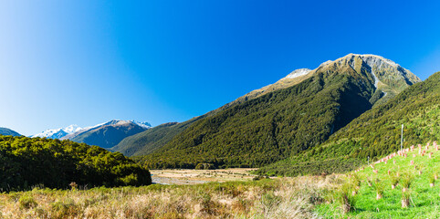 Fototapeta na wymiar ニュージーランド　オタゴ地方のブループールまでのウォーキングトラックの風景