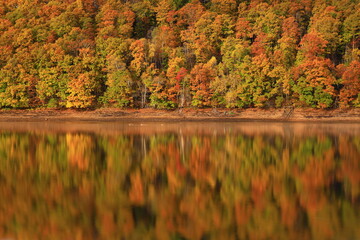 岩手県盛岡市　紅葉の岩洞湖