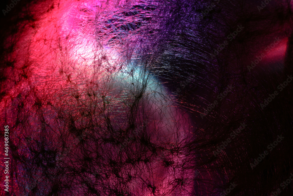 Leinwandbilder beautiful abstract web light pastel magic. background pattern for design. macro photography view.