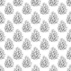 Pine cone seamless pattern. Monochrome botanical illustration.
