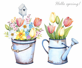 Watering can and a bucket with flowers. Spring flower bouquet. Watercolor illustration. © Anna