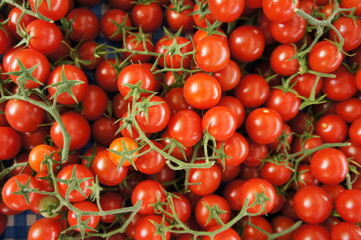 Cherry Tomato