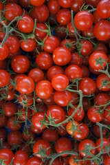 Cherry Tomato