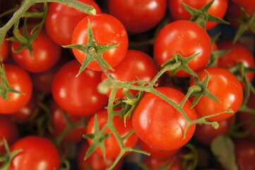 Cherry Tomato