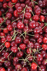 Cherry close up 