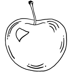 Fruit sketch ink illustration. Set of hand drawn ink sketch apple. Organic eco food. Fresh whole vegetable.