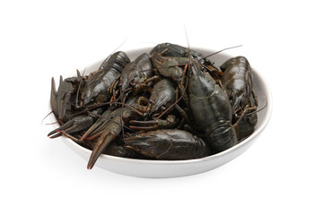 Fresh raw crayfishes in bowl on white background