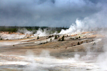 Yellowstone National Park - Norris Geyser Basin
