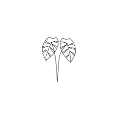 Continuous line drawing of monstera leaf, minimalist line art, nature one line, single line art, vector illustration