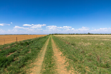 Fototapeta na wymiar Dirt road in a field of grass 