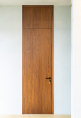 Modern interior of luxury flat. Wooden door. White wall.
