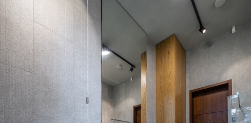 Modern interior of bathroom. Grey and wooden design. Ceiling with lamp