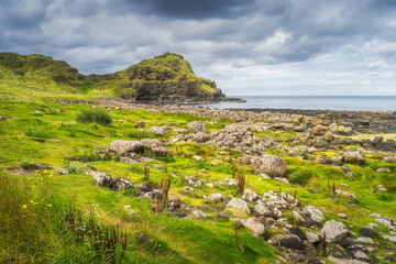 Fototapeta na wymiar Rocky beach and coastline with cliffs and rock formations in Giants Causeway, Wild Atlantic Way and UNESCO world heritage, Northern Ireland