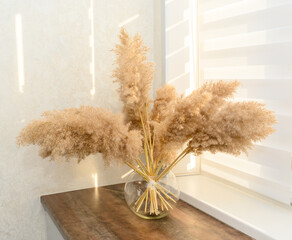 Fluffy bouquet of reeds in a glass vase. Against the white wall.