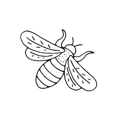 Bee. Bumblebee. Insect. Flying insect. Honey. Wings. Vector. Doodle. Drawn by hand. Sketch. Silhouette. Black and white. Contour. Coloring.