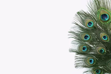 Fotobehang Beautiful bright peacock feathers on white background © New Africa