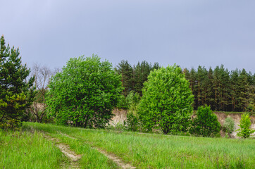 Mixed forests, meadows, ravines, cloudy sky, wonderful season