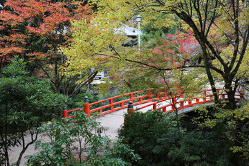 宮島 秋の紅葉谷公園