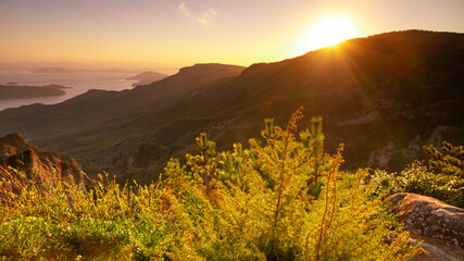 【香川県 小豆島】秋の夕方の寒霞渓の自然風景
