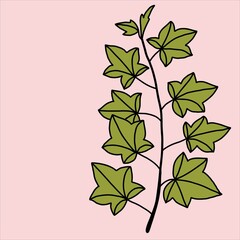 simplicity ivy freehand drawing flat design.