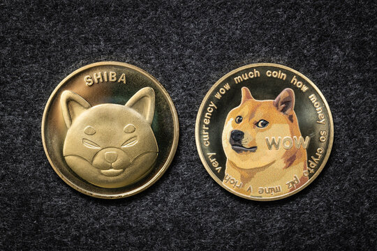 Shiba Inu cryptocurrency coin next to a Dogecoin