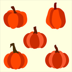 Pumpkin Illustration Vector Set Autumn 