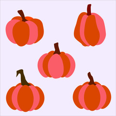 Pumpkin Illustration Vector Set Autumn 