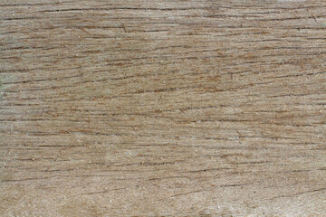 Surface of wood background and texture.